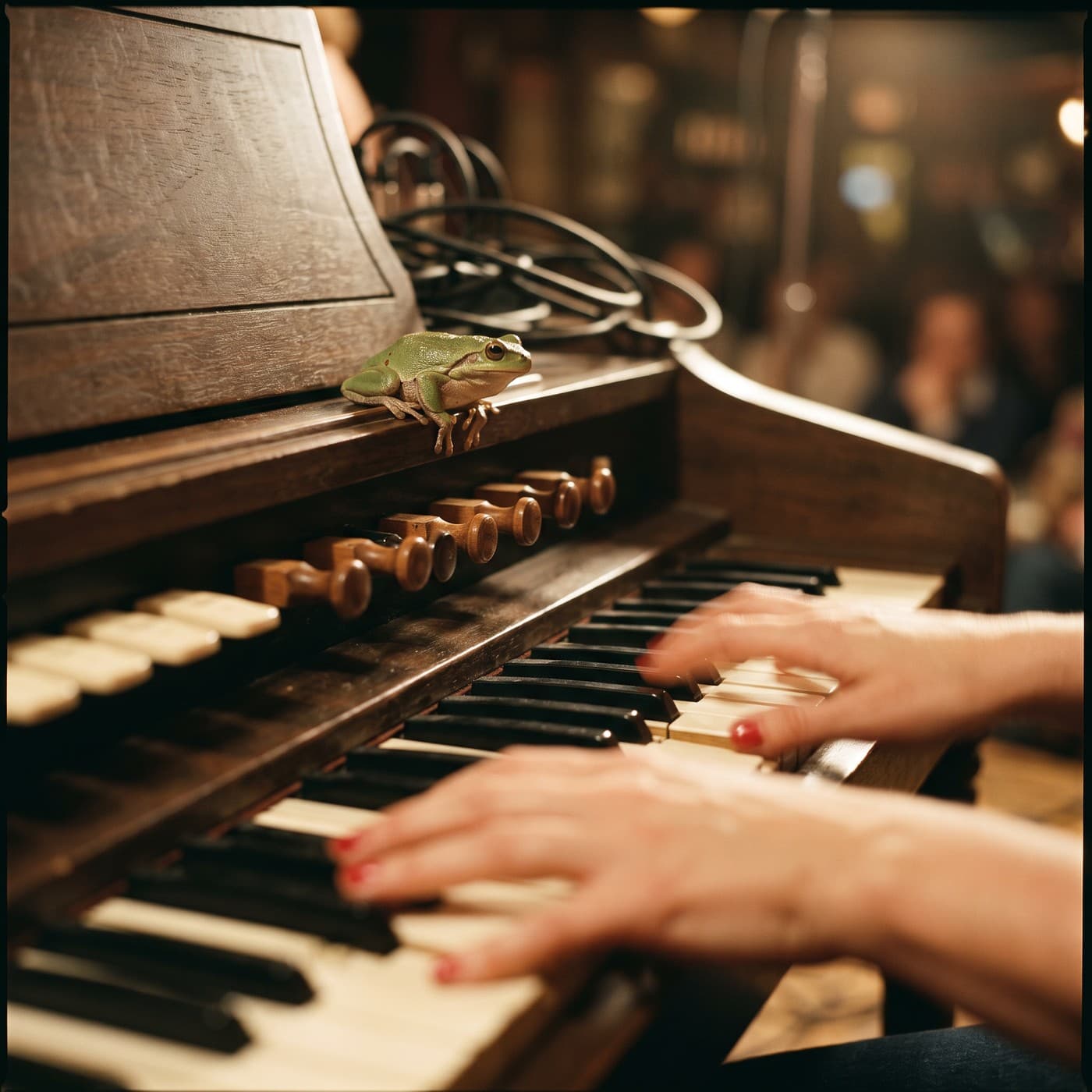 Close-up of hands playing an old wooden organ; a green frog sits on the ledge above the keys among coiled cables